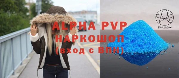 стаф Волоколамск
