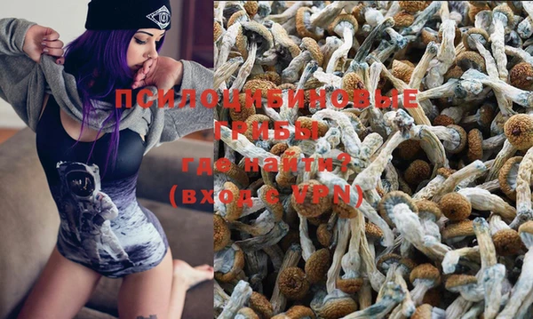 стаф Волоколамск