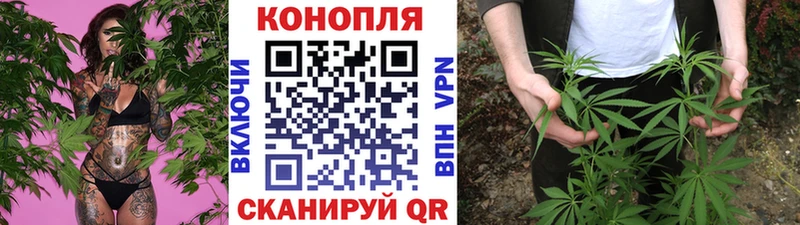 Шишки марихуана Bruce Banner  Пикалёво 